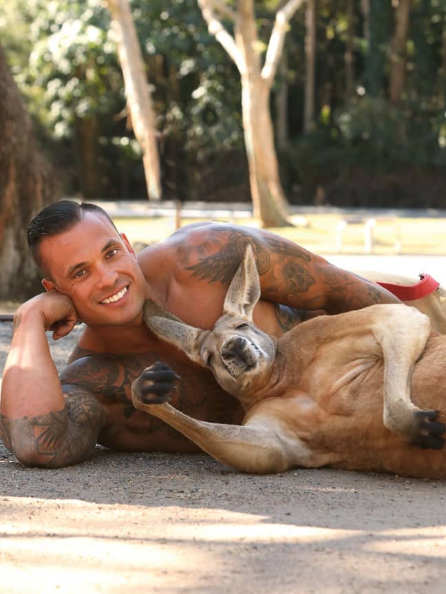 Nothing to see here - just a man and his kangaroo (Credit: Australian Firefighters Calendar)