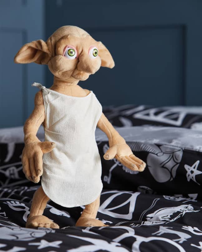 The Talking Dobby is priced at £19.99 (Credit: Aldi)