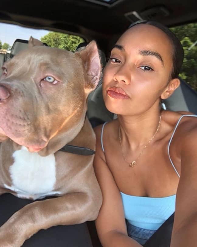 Campaigners have spoken out after scenes with Leigh-Anne's dog Kyro were featured in the BBC doc (Credit: Leigh-Anne Pinnock/Instagram)
