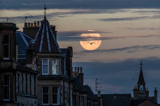 The pink supermoon peaked at around 3.30am in the UK last night (Credit: PA)
