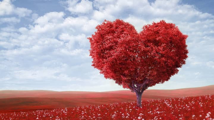 ​Valentine's Day Trees Are Perfect For Those Who Still Don't Want To Let Go Of Christmas​