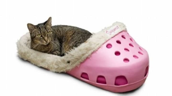 Slipper Shaped Pet Beds Exist And They Look Amazing