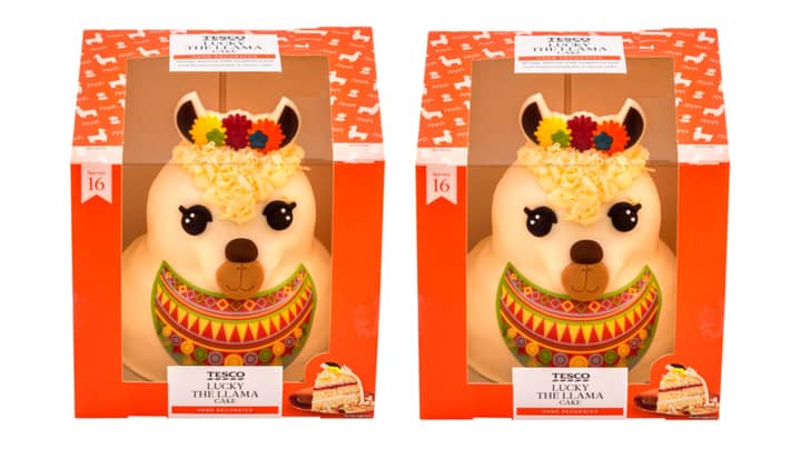 Tesco Is Selling A Llama Celebration Cake And It's Actually The Sweetest