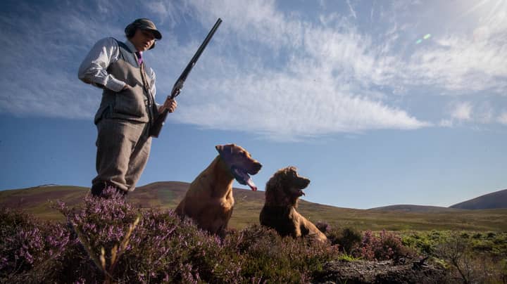Grouse Shooting And Hunting Exempt From Covid-19 'Rule Of Six'