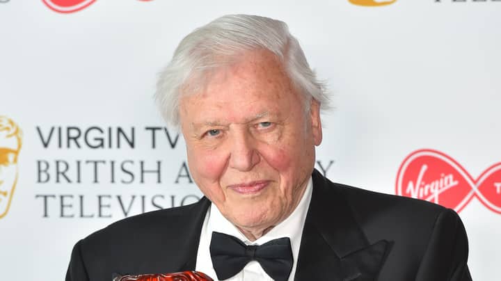 Sir David Attenborough Won't Let TV Crews Save Dying Animals For This Reason