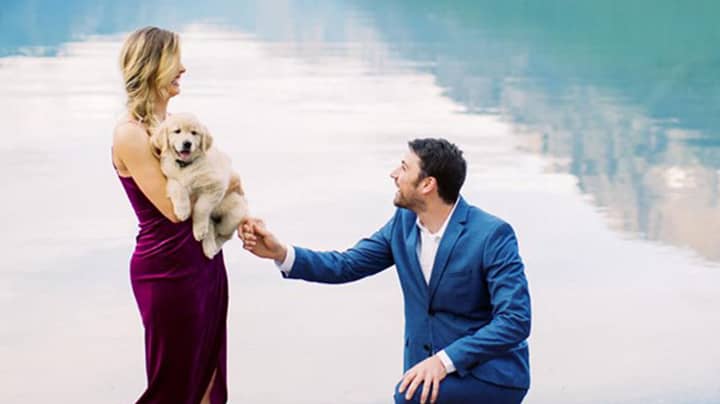 Man Proposes To His Girlfriend With Golden Retriever Puppy 