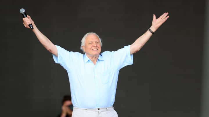 A David Attenborough Documentary On Extinction Is Coming To The BBC