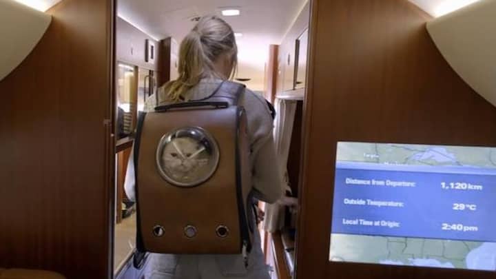 You Can Now Buy The Bag That Taylor Swift Carries Her Cat In