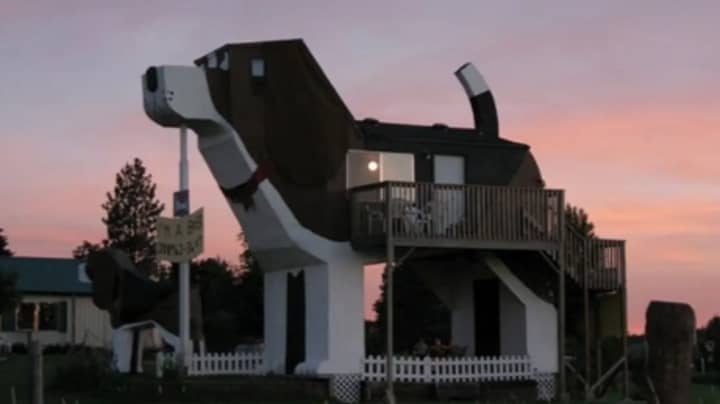 Dog Lovers Can Now Stay In An AirBnb Shaped Like A Beagle