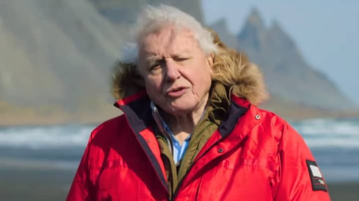New Trailer Drops For David Attenborough's Jaw-Dropping New Show 'Seven Worlds, One Planet'