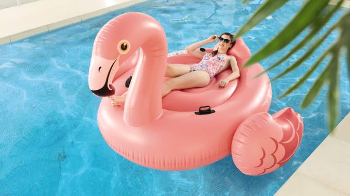 Aldi Is Selling A Giant Flamingo Pool Float For £20