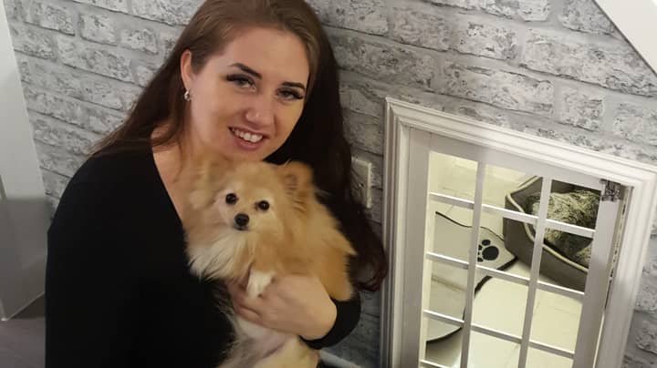 Woman Creates Amazing Dogbed In Cupboard Under The Stairs For Just £60