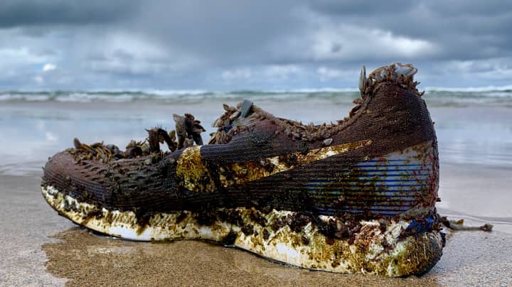 ​Hundreds Of Nike Trainers Are Washing Up On Beaches Around The World