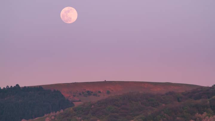 A 'Pink Supermoon' Will Be Visible In The UK Next Week
