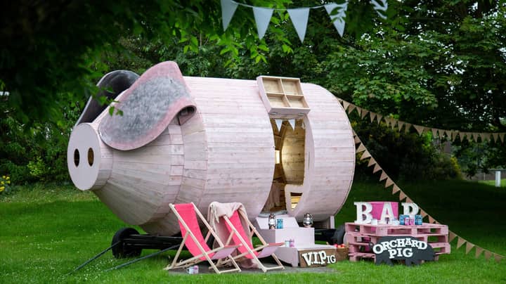 You Can Soon Camp Inside A Giant Wooden Pig And It Has To Be Seen To Be Believed