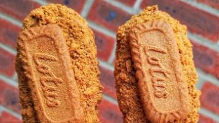 Woman Shares Recipe For Most Mouth-Watering Vegan Lotus Biscoff Ice Creams