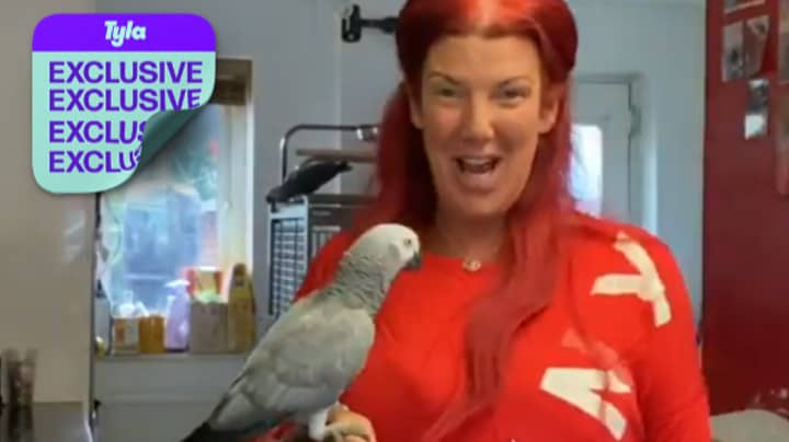 Chanel The African Grey Parrot Is Living Her Best Life After Being Reunited With Her Owner