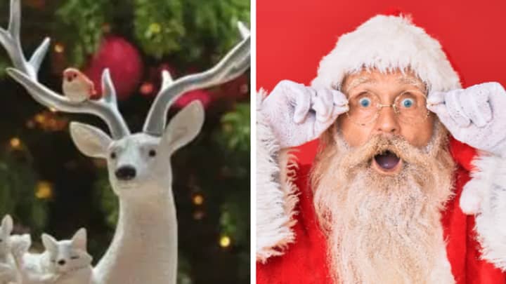 B&M Shoppers Left Stunned By NSFW Reindeer Ornament