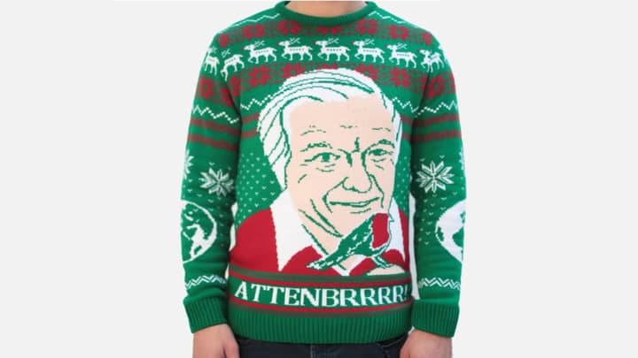 This David Attenborough Christmas Jumper Is Festive Clothing Perfection