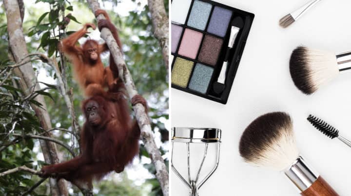 I Tried To Cut Palm Oil From My Home And Beauty Routine - Here's What Happened