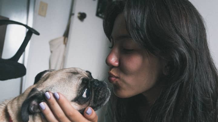 One In Eight Dog Owners Kiss Their Pet On The Lips