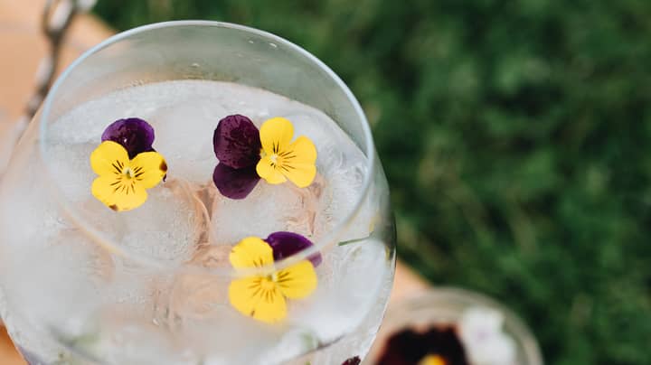 Marks & Spencer Is Selling Edible Flowers To Spruce Up Food And Cocktails