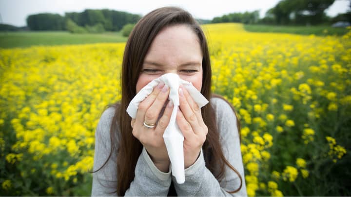 Hay Fever Sufferers Warned As Pollen Season Comes Three Weeks Early