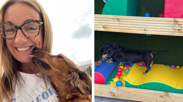 You Can Now Take Your Pooch To Stay At This Sausage Dog Hotel