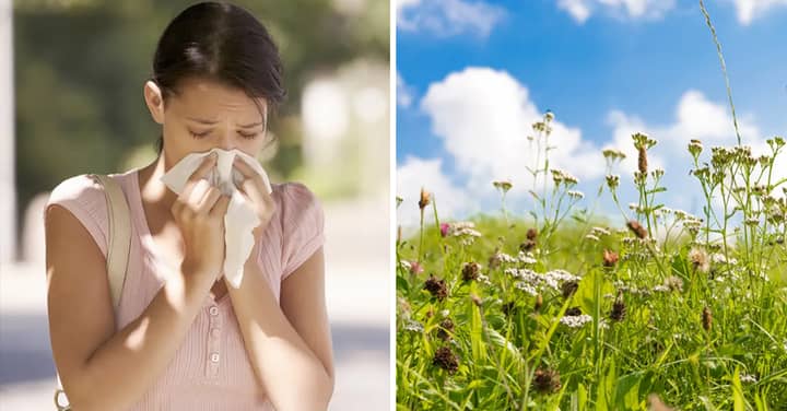 Hay Fever Sufferers Shouldn't Breathe Through Their Mouth, Expert Warns