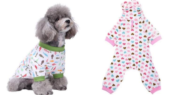 You Can Now Buy Jumpsuit Pyjamas For Your Dog