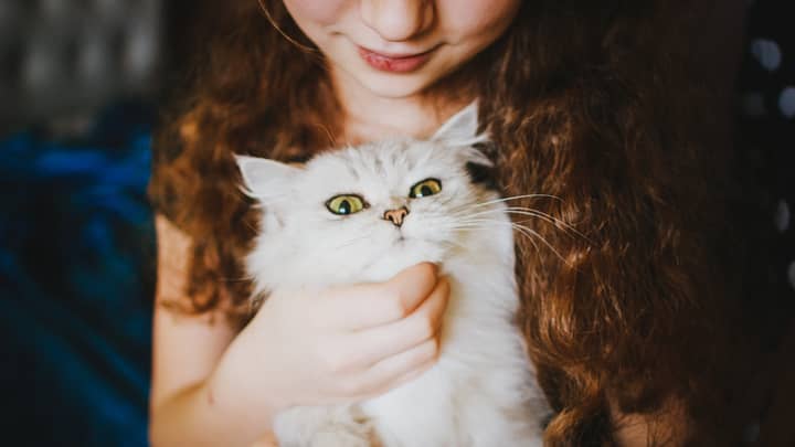 Talking To Your Pet Is Actually Really Good For Your Health