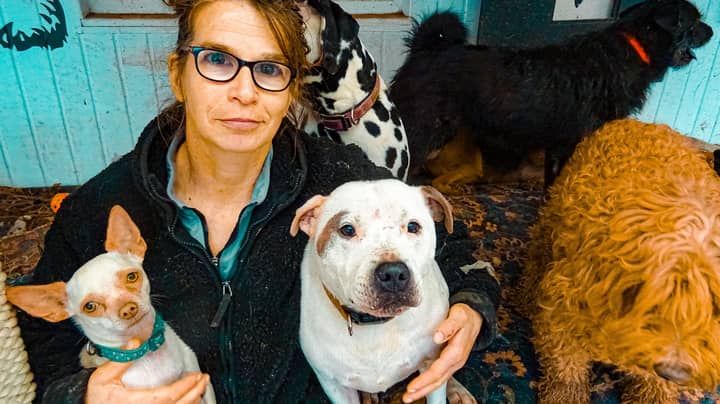 Bankrupt Woman Who Shares Her Home With 106 Dogs Stars In New Channel 5 Show