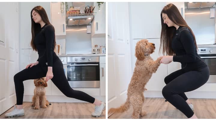 You Can Now Do A Workout With Your Pooch