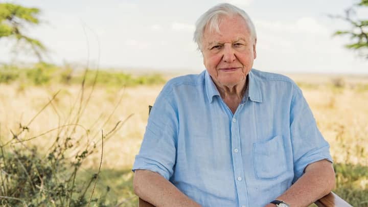 Sir David Attenborough Quits Instagram Two Months After He Joined