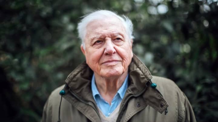 New David Attenborough Nature Series 'A Perfect Planet' Is Coming To The BBC