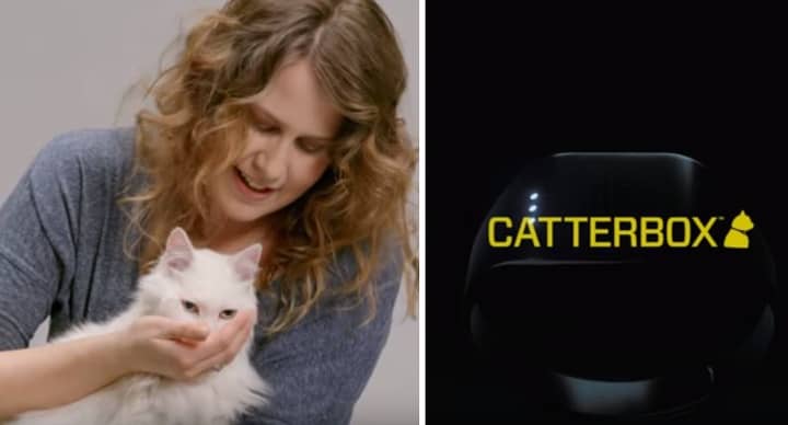 This Collar Will Allow Your Cat To Actually Talk To You 