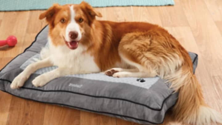 Lidl Is Selling A Heated Dog Bed To Keep Your Pooch Warm This Winter 