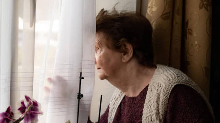Deaf Grandmother Whose Dog Was Stolen Stares Out Of Window Every Day Hoping He Returns